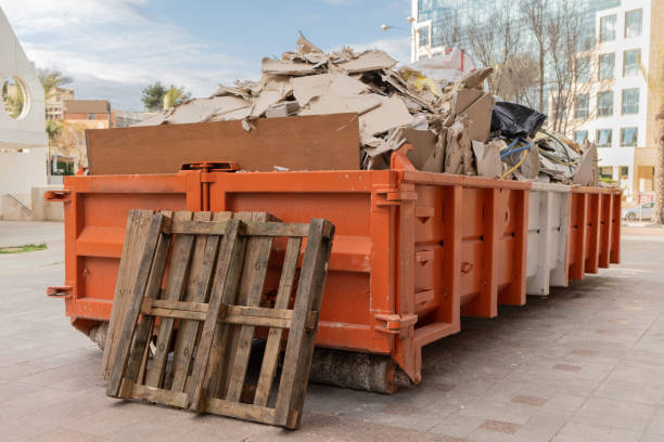 Best Professional Junk Removal  in South Elgin, IL